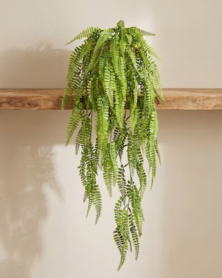 Produktabbildung 2 für Adianthumhänger, 80 cm