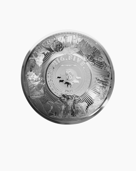 Produktabbildung für Silbermünze Big Five Africa Dome 2025