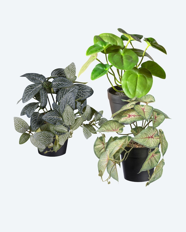 Kunstpflanzen-Set, 3tlg.