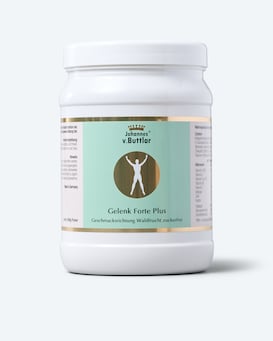 Produktabbildung für Gelenk Forte Plus Waldfrucht, 600 g