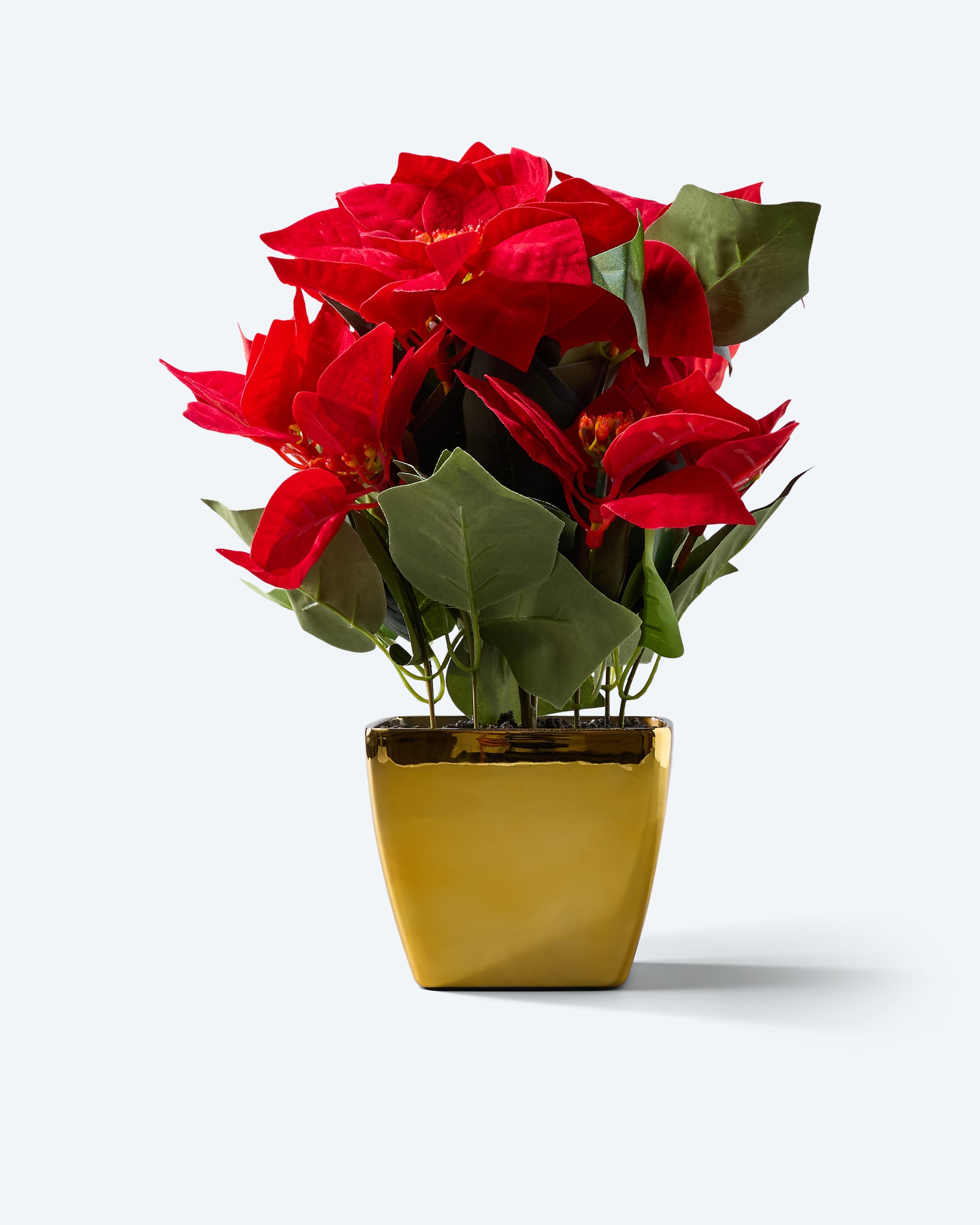 Produktabbildung für Kunst-Weihnachtsstern "Majesty"