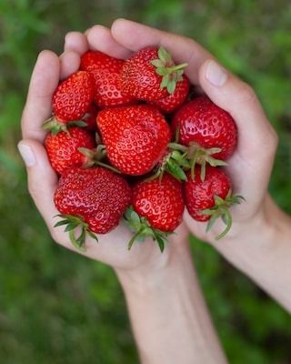 Produktabbildung 4 für Erdbeer-Pflanzen, 9tlg.