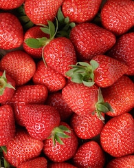 Produktabbildung für Erdbeer-Pflanzen, 9tlg.