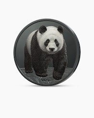 Produktabbildung für Silbermünze Shadow Minting Panda 2026