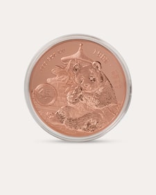 Produktabbildung für Kupfermünze Giant Copper Panda 1982-2027